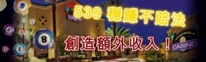 539玩法 穩賺不賠法