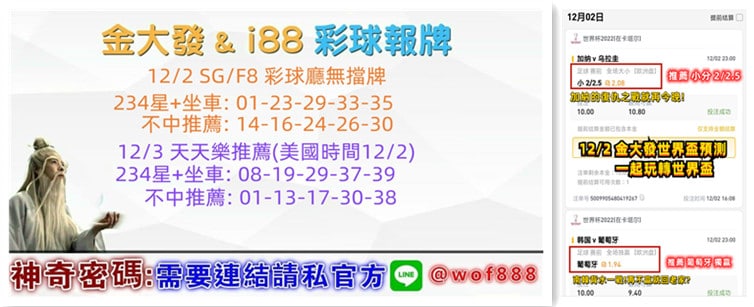 539報牌+運彩分析